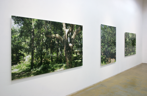 Gallery Nomart | Exhibition