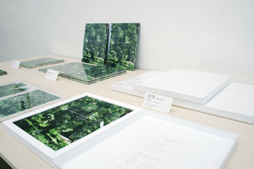 Gallery Nomart | Exhibition