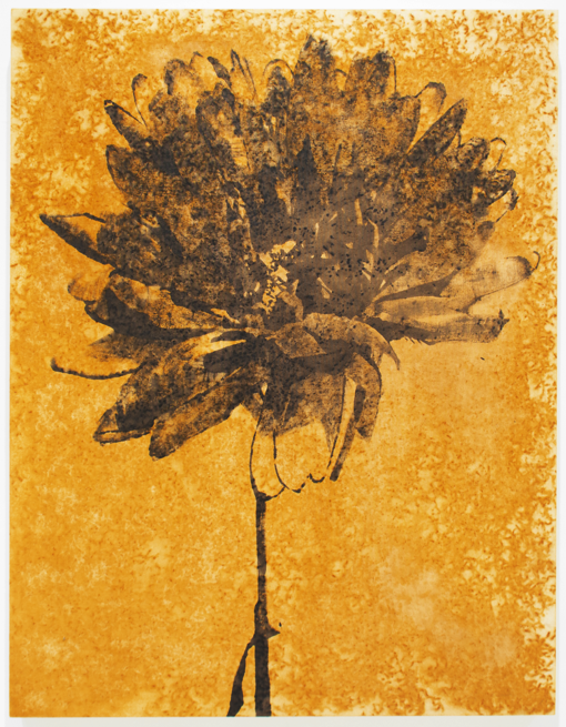 Gallery Nomart | Exhibition