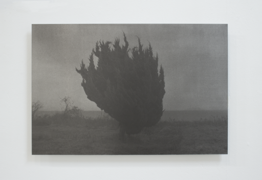 稲垣ページ My Favorite Best Album〜稲垣潤一『REVELATION』｜スガイヒロシ