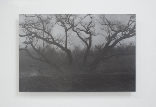 稲垣ページ Gallery Nomart | Work |