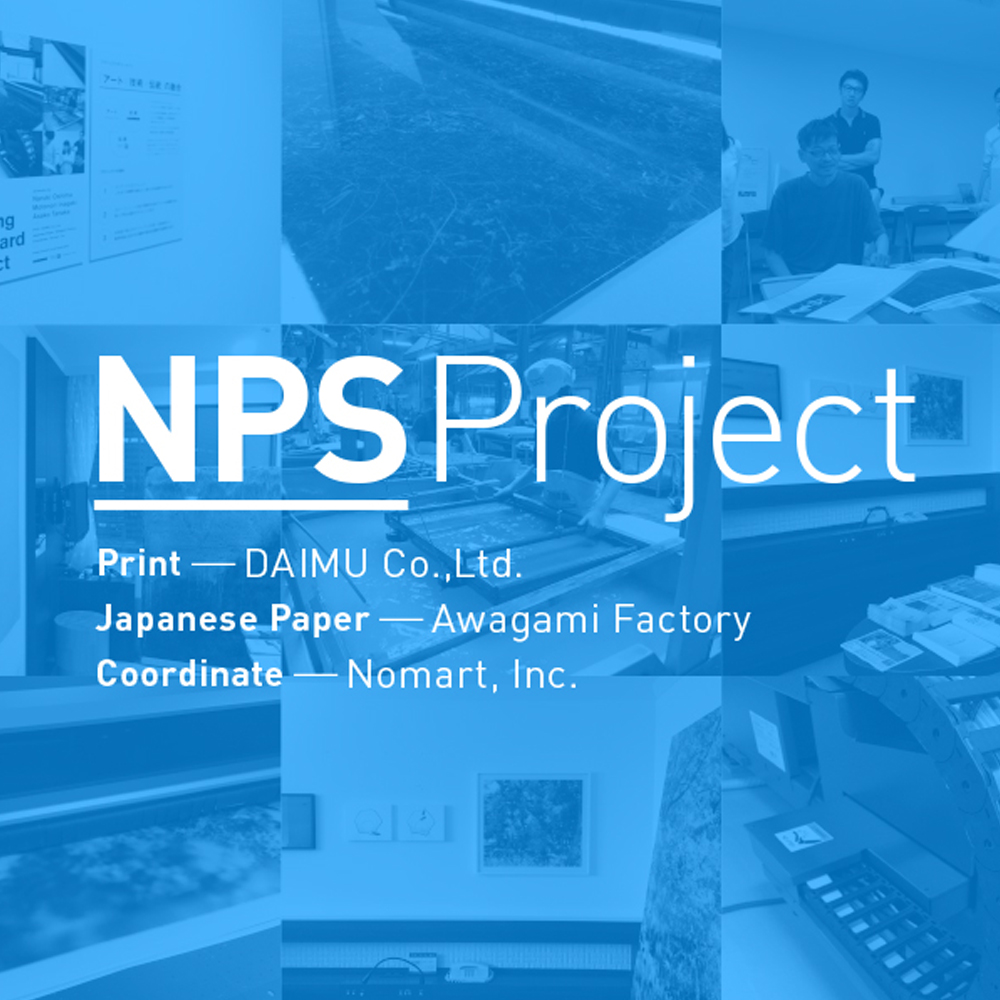 NPS Project